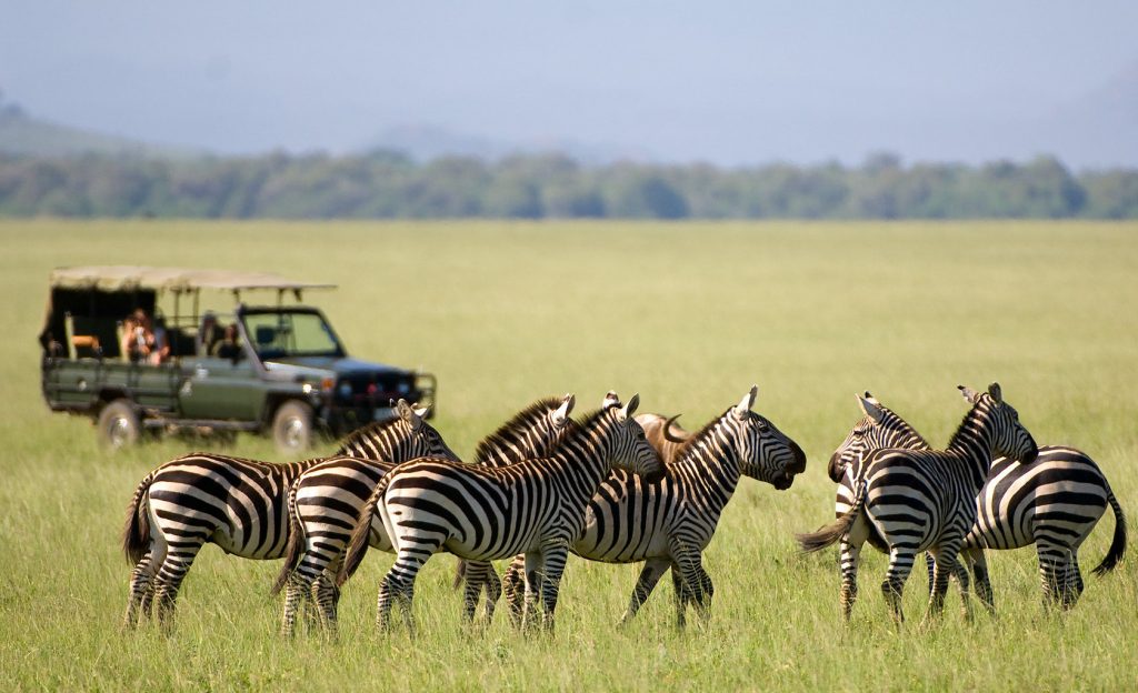 Kenya – un séjour à aucun autre pareil