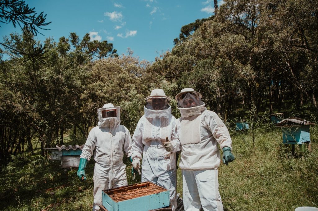 Pourquoi utiliser un Bee Wrap et la Cire d’Abeille ? accessoire en cire d'abeille