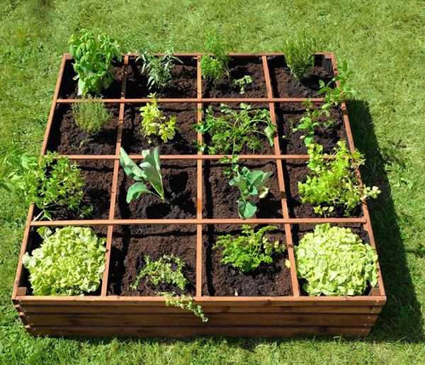 Planification d’un potager sur pied