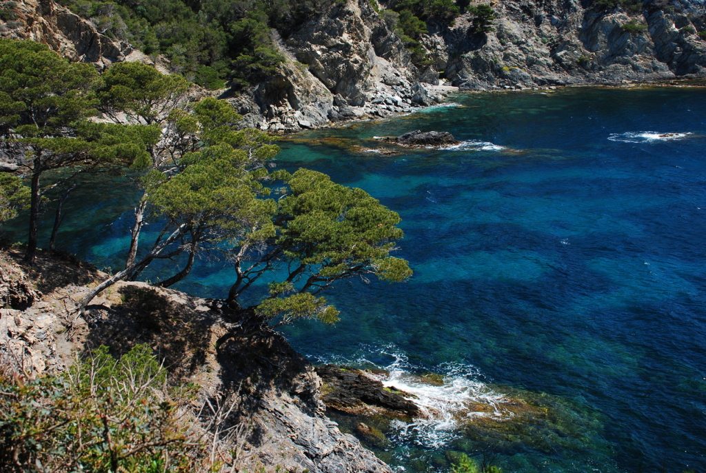 Les meilleurs coins de plongée et snorkeling dans le sud de la France meilleurs coins plongée sud de la france