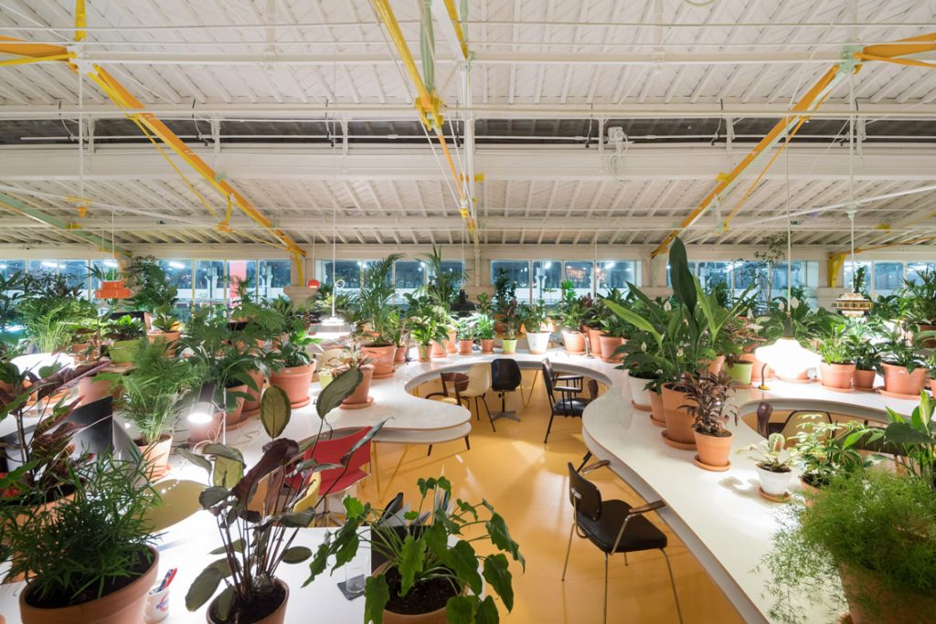 Les tendances en matière de bureaux écologiques qui portent leurs fruits immédiatement bureaux écologiques