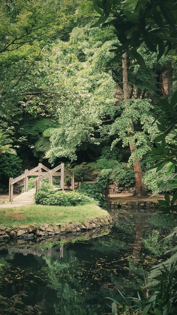 Prenez soin de votre jardin comme il se doit avec Ckilpro aménagement jardin