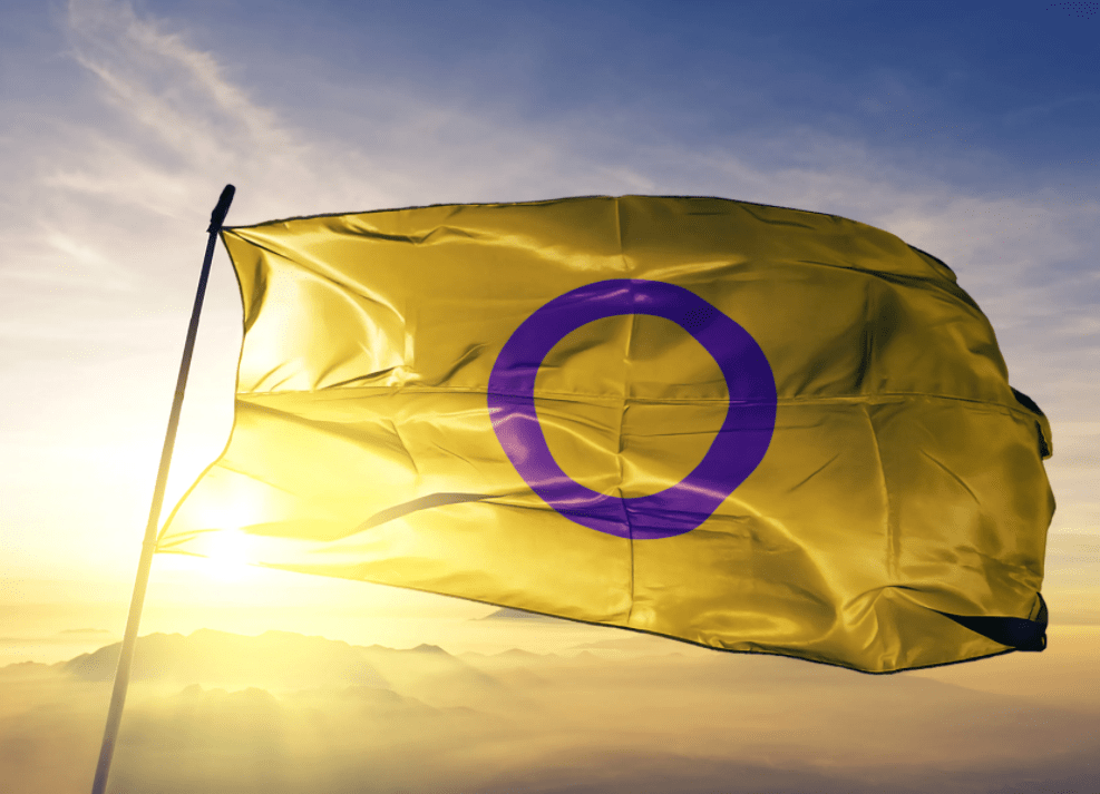 Drapeau Intersexe