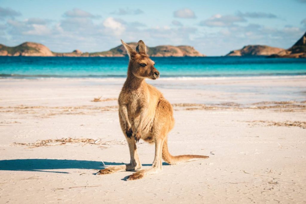Australie : 4 visas pour visiter le pays