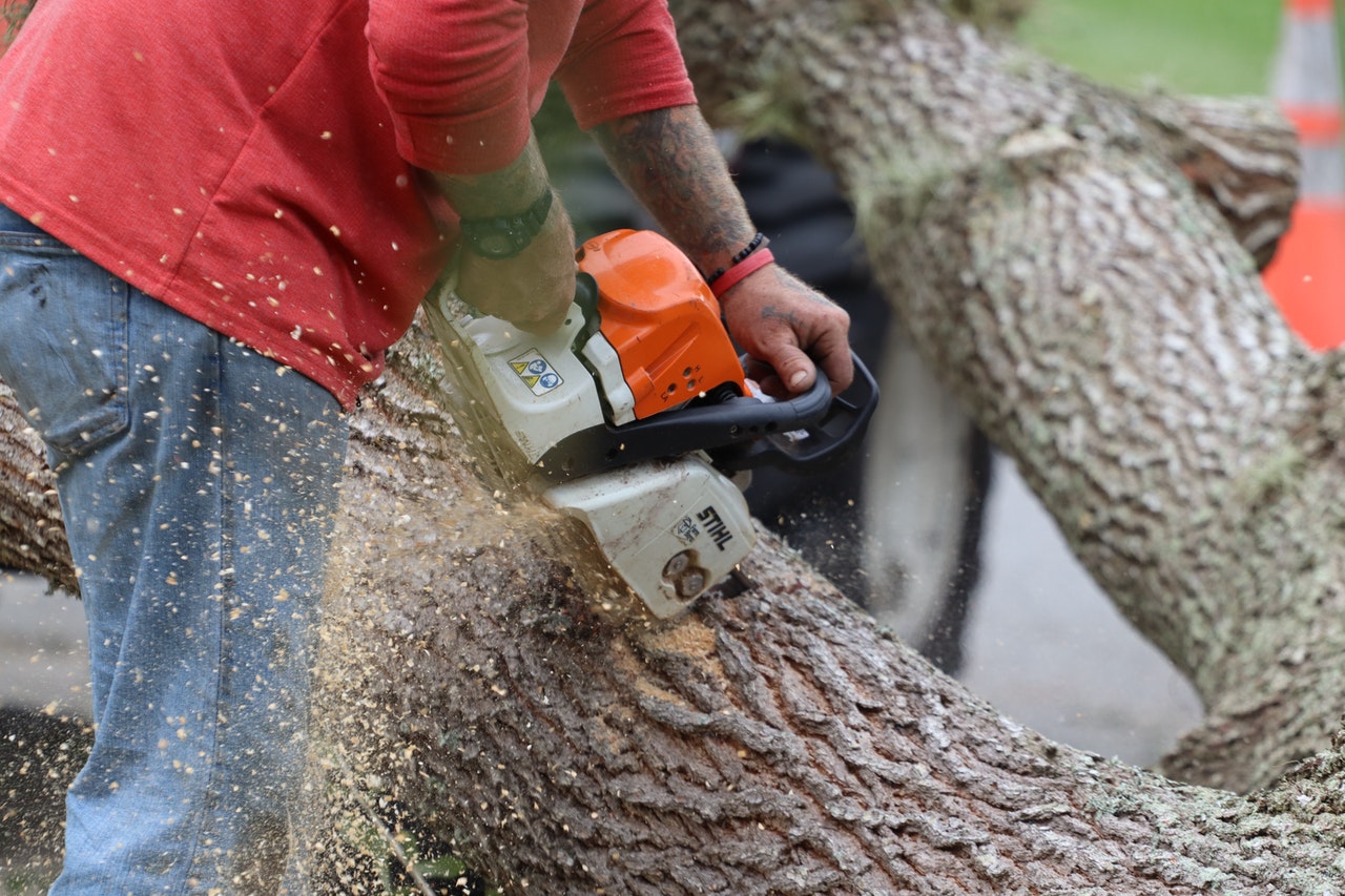 effectuer les travaux d’élagage