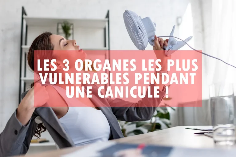 Les 3 organes qui souffrent le plus de la chaleur ! Prenez des précautions! 3-organes-vulnerable chaleur