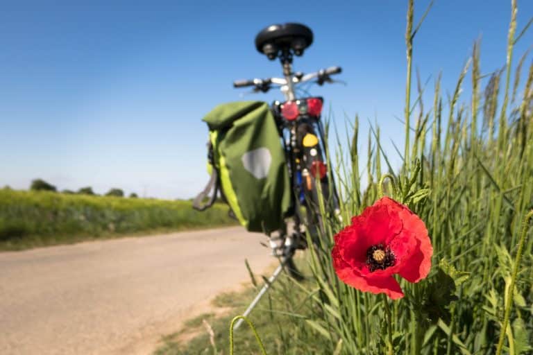 bikepackr qu’est ce que c’est? Bikepacking