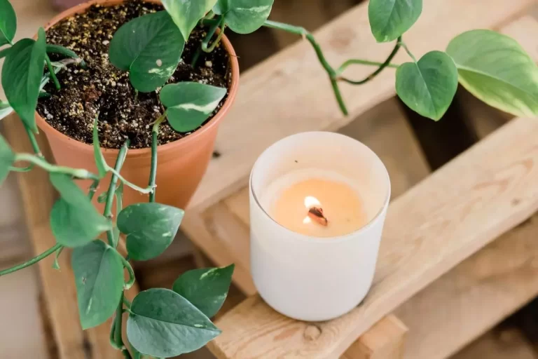 Les avantages des bougies végétales pour la santé et l’environnement Bougie vegetale